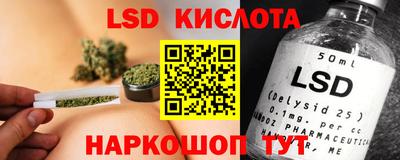 PSILOCYBIN Гусев