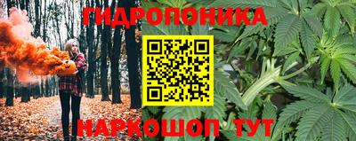 PSILOCYBIN Гусев